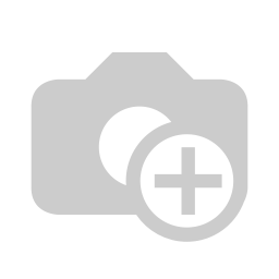 Multi-plug socket adapter